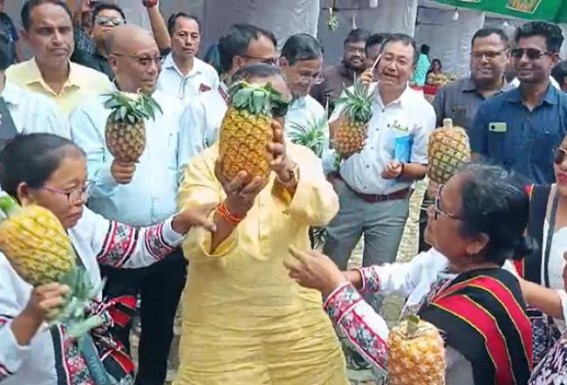 Pineapple Festival Held in Kumarghat Pineapple Festival Held in Kumarghat